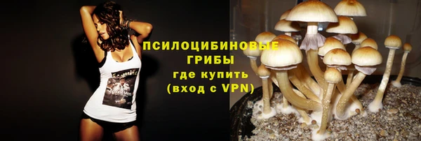 дживик Армянск