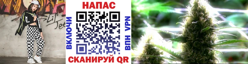 Конопля AK-47  купить наркотик  omg зеркало  Рудня 